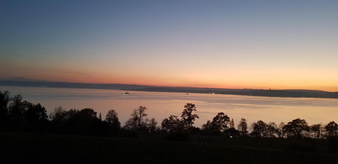 Lakeview Penthouse Meersburg Zewnętrze zdjęcie