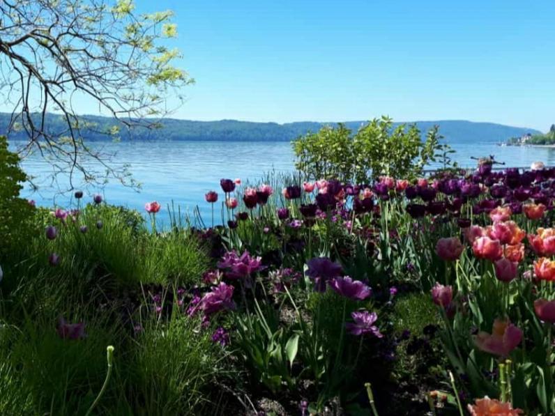 Lakeview Penthouse Meersburg Zewnętrze zdjęcie