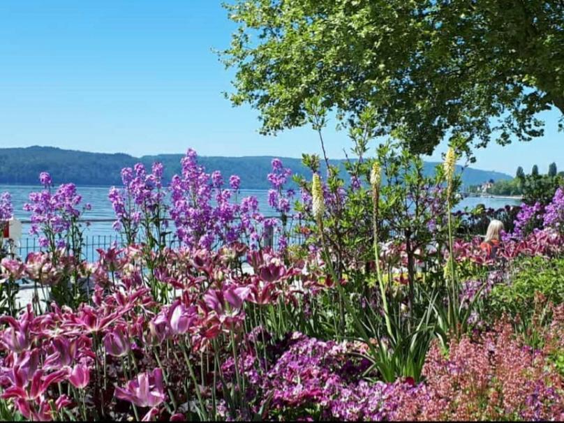 Lakeview Penthouse Meersburg Zewnętrze zdjęcie